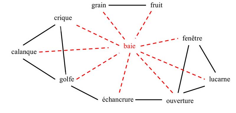 Relations synonymiques du mot baie sous forme de graph