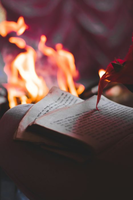 La lettre d&rsquo;actualité n°25 du DÉS – décembre 2025